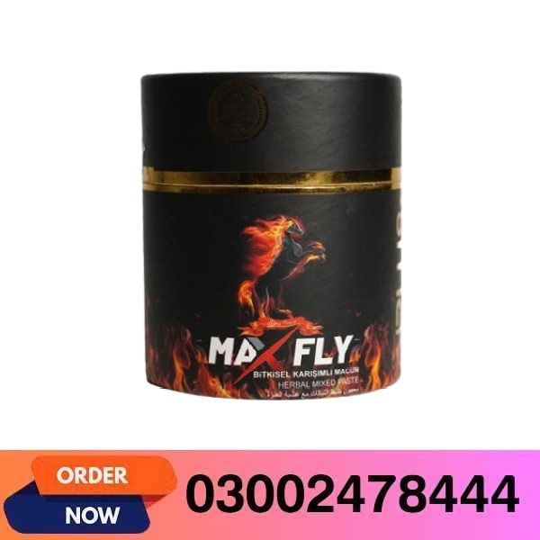 Max Fly Paste in Pakistan