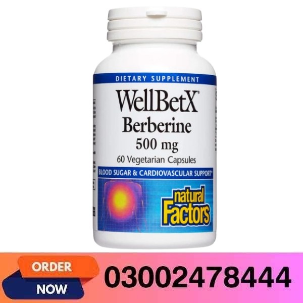 WellBetX Berberine 500mg In Pakistan